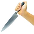 Kitchen knife. Royalty Free Stock Photo