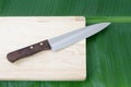 Kitchen knife steel and wooden cutting board Royalty Free Stock Photo