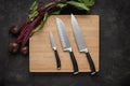 Kitchen Knives Set on Wood Cutting Board Royalty Free Stock Photo