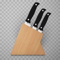 Kitchen knives in wooden block organizer for storage realistic vector knife with handles Royalty Free Stock Photo