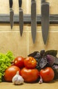 Kitchen knives on a magnetic holder and a set of fresh vegetables Royalty Free Stock Photo