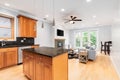 Kitchen looking towards a living and dining room in a Chicago condo. Royalty Free Stock Photo