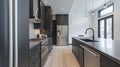 A kitchen with matte black cabinets and countertops providing a sleek and contemporary look. The dark color adds a touch Royalty Free Stock Photo