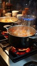 Kitchen melody Pots bubbling with cooking delights on gas stove Royalty Free Stock Photo