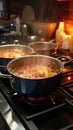 Kitchen melody Pots bubbling with cooking delights on gas stove Royalty Free Stock Photo