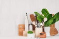 Kitchen modern decor - beige wooden utensils, brown cutting boards, green plant on soft light white wood background.