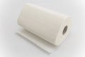 Kitchen Paper Towel on a White Background Royalty Free Stock Photo