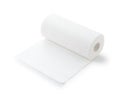 Kitchen paper on a white background Royalty Free Stock Photo