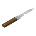 Kitchen penknife icon, isometric style