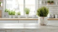 Kitchen Plant Wooden Table, White Pot, Green Grass Royalty Free Stock Photo