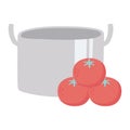 Kitchen pot and tomatoes vegetables isolated icon design white background