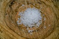 Kitchen salt crystals ingredient on wood table, nacl, sodium chloride,concept Royalty Free Stock Photo