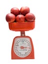 Kitchen scale weighting nectarines Royalty Free Stock Photo