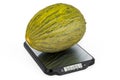 Kitchen Scales with Christmas melon. 3D rendering