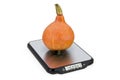 Kitchen Scales with Hokkaido pumpkin. 3D rendering