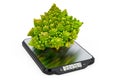 Kitchen Scales with Romanesco broccoli. 3D rendering