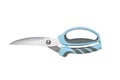 Kitchen scissors with blue handles isolated on a white background Royalty Free Stock Photo