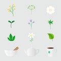 Vector set of isolated icons with different herbs and objects in realistic style.