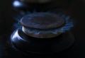 kitchen stove cook with blue flames burning. Royalty Free Stock Photo