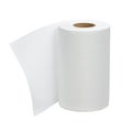 Kitchen or toilet paper Royalty Free Stock Photo
