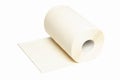Kitchen towel bamboo roll isolated on a white background Royalty Free Stock Photo