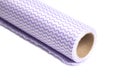 Kitchen towel roll isolated on a white background Royalty Free Stock Photo