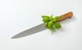 Kitchen utility knife Royalty Free Stock Photo