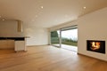 Kitchen view and fireplace