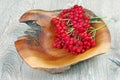 kitchenware wooden dish and viburnum