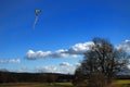 Kite above tree Royalty Free Stock Photo