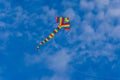 Kite in a blue sky