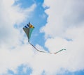 Kite in the cloud sky