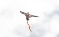 A kite at the dark sky Royalty Free Stock Photo