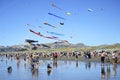 Kite Day at New Brighton Beach, Christchurch, New Zealand