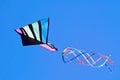 Kite in Flight Royalty Free Stock Photo