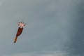 Kite fly against the dark moody sky Royalty Free Stock Photo