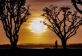 A Kite Flyer Wraps up His Kites at Sunset