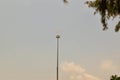 Kite flying above stadium light pole against clear sky, framed by tree branches highlights vertical scale and urban flight Royalty Free Stock Photo
