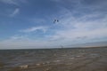 Kite flying above water at a beach