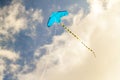 Kite flying against the blue sky on a sunny day Royalty Free Stock Photo