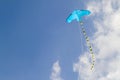 Kite flying against the blue sky on a sunny day Royalty Free Stock Photo