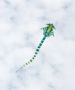 Kite flying in the air Royalty Free Stock Photo