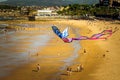 Kite flying on the beach