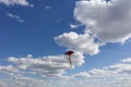 Kite flying in a blue cloudy sky Royalty Free Stock Photo