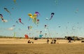 Kite Flying Competition at the Beach