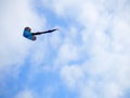 A kite flying in the sky. Royalty Free Stock Photo