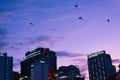 Kite flying is a traditional game of children in Vietnam. Sunset sky, silhouettes of tall houses Royalty Free Stock Photo