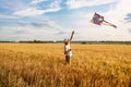 Kite in hand against the blue sky in summer, flying kite launching, fun summer vacation, under the field, freedom Royalty Free Stock Photo