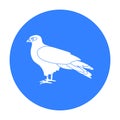 Kite icon in black style isolated on white background. Bird symbol stock vector illustration. Royalty Free Stock Photo