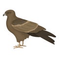 Kite icon in cartoon style isolated on white background. Bird symbol stock vector illustration. Royalty Free Stock Photo